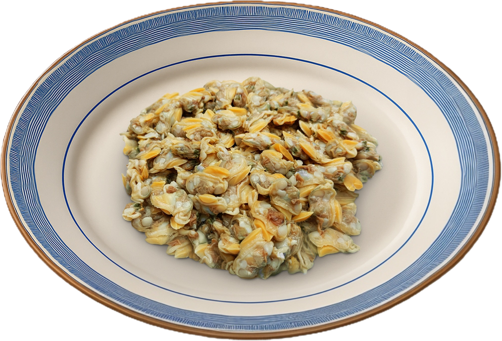 Canned Baby Clams from Indonesia